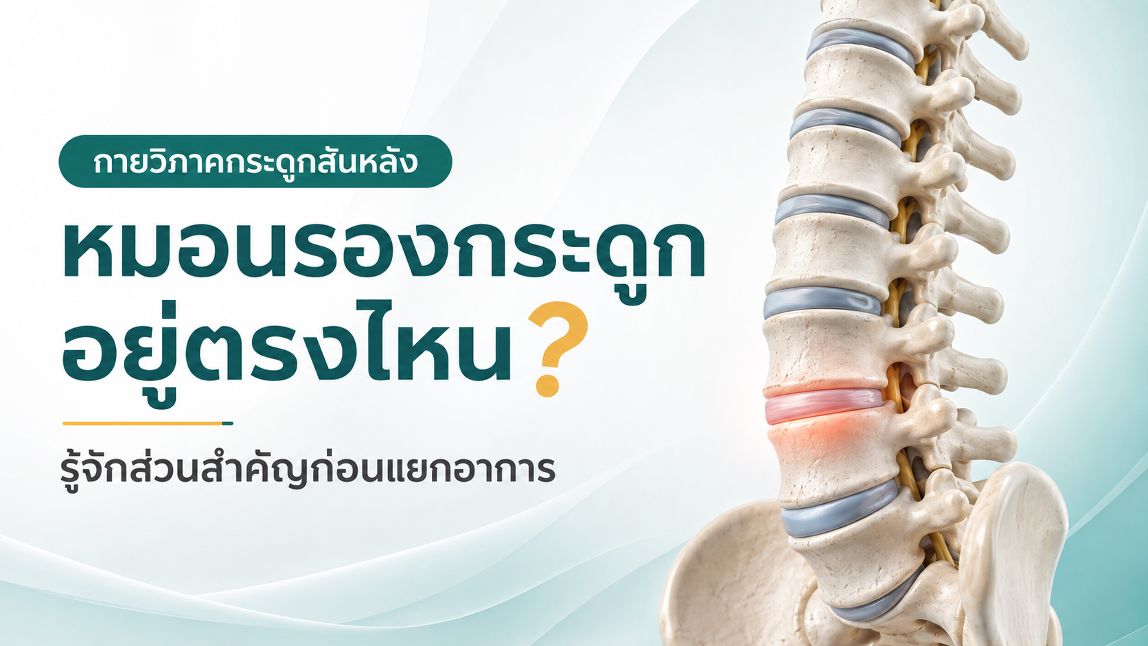 หมอนรองกระดูก อยู่ตรงไหน? รู้ตำแหน่งและหน้าที่ก่อนแยกอาการ